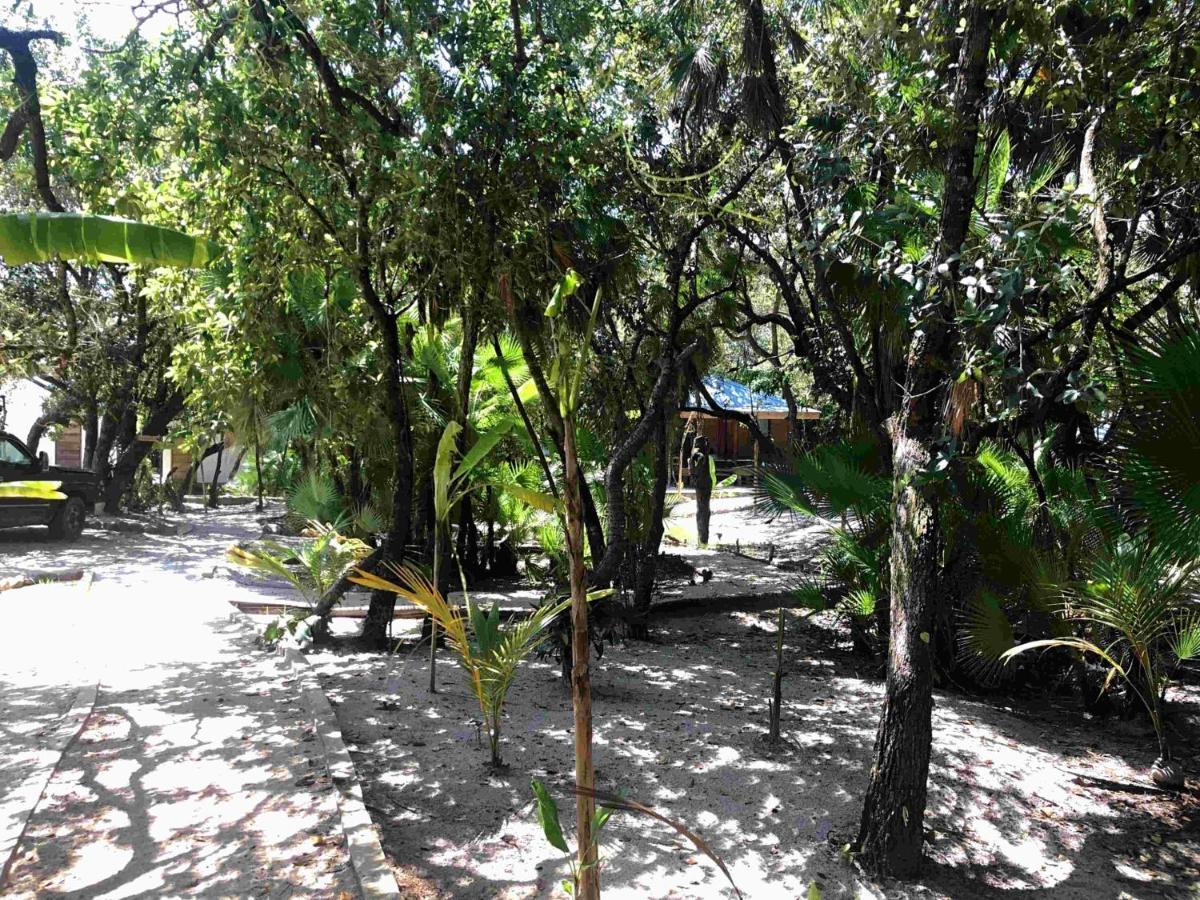 Kin Resort Lodge Maya Beach Eksteriør bilde